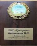 Садові троянди вирощені на Уралі в рінбург, Березовський (урале) Садові троянди вирощені на Уралі в рінбург, Березовський