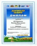 Садові троянди вирощені на Уралі в рінбург, Березовський (вирощені) Садові троянди вирощені на Уралі в рінбург, Березовський