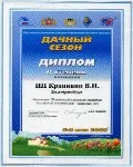 Садові троянди вирощені на Уралі в рінбург, Березовський (вирощені) Садові троянди вирощені на Уралі в рінбург, Березовський