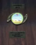 Садові троянди вирощені на Уралі в рінбург, Березовський (садові) Садові троянди вирощені на Уралі в рінбург, Березовський