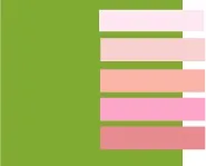 Салатовий колір і поєднання з ним, lookcolor (lookcolor) Салатовий колір і поєднання з ним, lookcolor