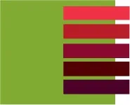Салатовий колір і поєднання з ним, lookcolor (поєднання) Салатовий колір і поєднання з ним, lookcolor