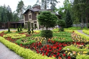 Найбільш екологічно чисті райони Ленобласті де краще купити ділянку