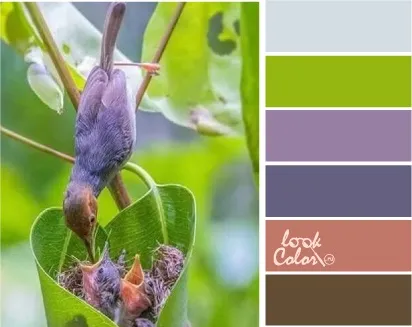 Салатовий колір і поєднання з ним, lookcolor (lookcolor) Салатовий колір і поєднання з ним, lookcolor