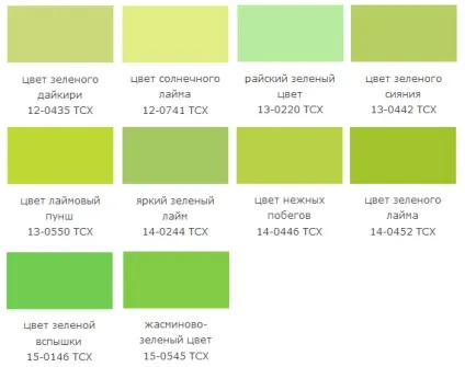 Салатовий колір і поєднання з ним, lookcolor (поєднання) Салатовий колір і поєднання з ним, lookcolor