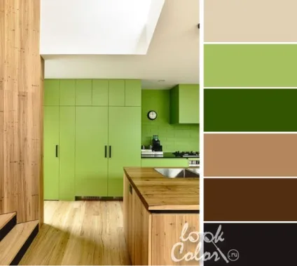 Салатовий колір і поєднання з ним, lookcolor (lookcolor) Салатовий колір і поєднання з ним, lookcolor