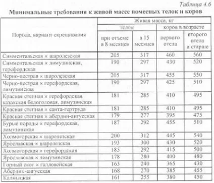 Селекційно-племінна робота в м'ясному скотарстві - агроархів сільськогосподарські матеріали (живий) Селекційно-племінна робота в м'ясному скотарстві - агроархів сільськогосподарські матеріали