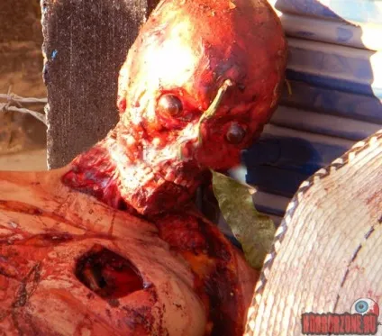 Шок в мексиці з людей живцем здерли шкіру (фото), зона жахів (мексиці) Шок в мексиці з людей живцем здерли шкіру (фото), зона жахів
