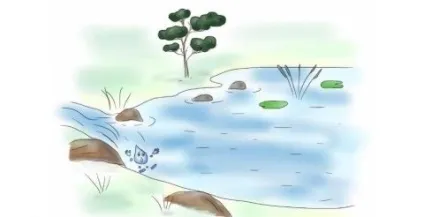 Казка про крапельку або як пояснити дитині круговорот води в природі (крапельку) Казка про крапельку або як пояснити дитині круговорот води в природі