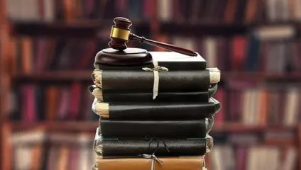 Система МПП особливості та місце в правовій системі (місце) Система МПП особливості та місце в правовій системі