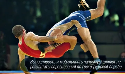 Силове тренування для борців різних стилів (тренування) Силове тренування для борців різних стилів