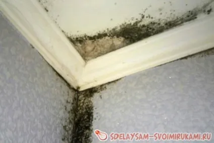 Сиреет стіна, що робити