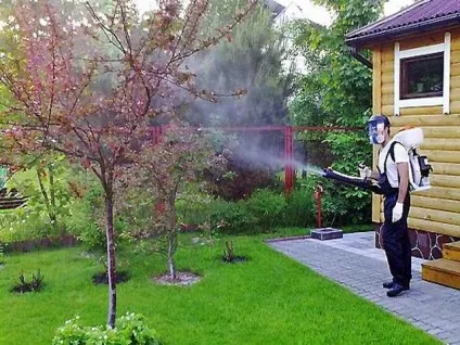 Швидкість фунгіцид відео інструкція із застосування