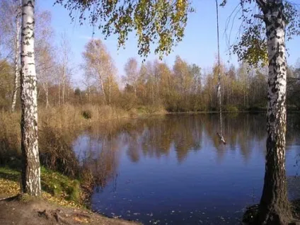 Скільки коштує 1 сотка землі (землі) Скільки коштує 1 сотка землі