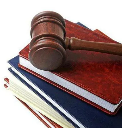 Система МПП особливості та місце в правовій системі (система) Система МПП особливості та місце в правовій системі