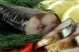 Скумбрія холодного копчення своїми руками (копчення Інгредієнти скумбрія) Скумбрія холодного копчення своїми руками