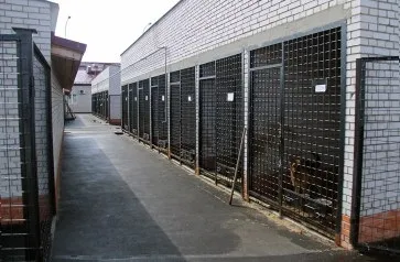 Собача робота Новомосковськ, як все влаштовано в кінологічному центрі для поліцейських собак (кінолог Сміла Єрмолаєв) Собача робота Новомосковськ, як все влаштовано в кінологічному центрі для поліцейських собак