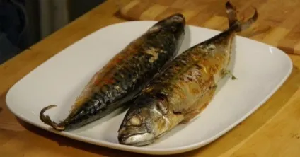 Скумбрія холодного копчення своїми руками (холодного) Скумбрія холодного копчення своїми руками