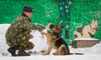 Собаки на службі