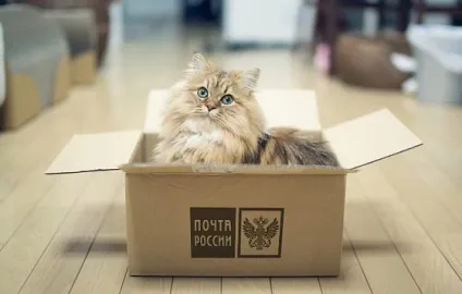Скорочуємо повернення замовлень при роботі з почтойУкаіни (росії) Скорочуємо повернення замовлень при роботі з почтойУкаіни