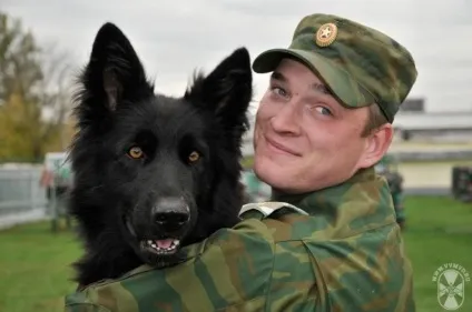 Собаки на службі