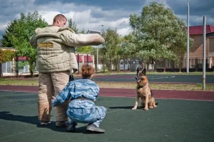 Собаки на службі