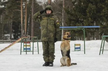 Собаки на службі