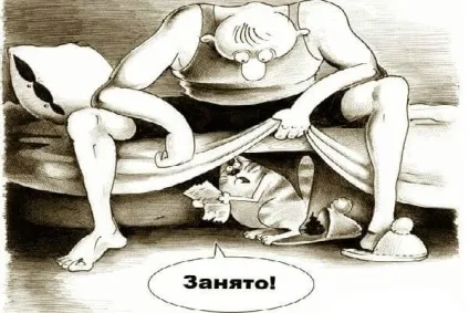 Смішні кішки - фото, приколи