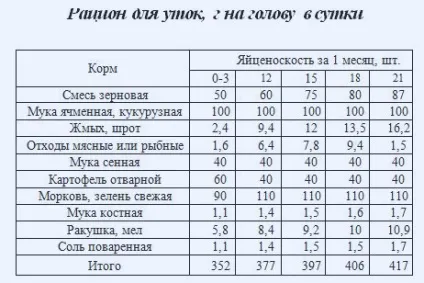 Зміст індоуток в домашніх умовах відео (домашніх) Зміст індоуток в домашніх умовах відео