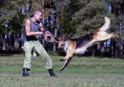 Собаки на службі