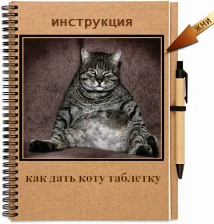 Смішні кішки - фото, приколи