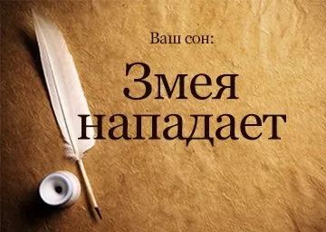 Сонник змія яка нападає, але не кусає до чого сниться жінці (яка) Сонник змія яка нападає, але не кусає до чого сниться жінці