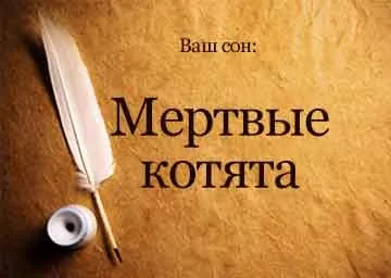 Сонник мертві кошенята маленькі бачити уві сні до чого сняться (мертві) Сонник мертві кошенята маленькі бачити уві сні до чого сняться