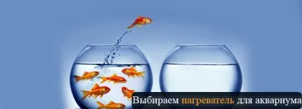 Поради для вашого будинку (будинку) Поради для вашого будинку