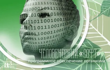 Сучасний підхід до самозцілення людини, блог Ірини Зайцевої (людини) Сучасний підхід до самозцілення людини, блог Ірини Зайцевої