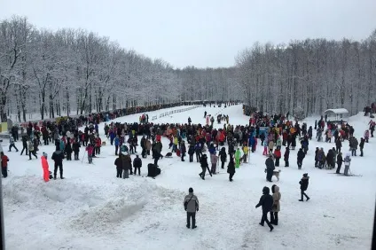 Відбувся чемпіонатУкаіни з перегонів на собачих упряжках - зооінформ-сіті