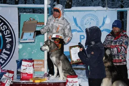 Відбувся чемпіонатУкаіни з перегонів на собачих упряжках - зооінформ-сіті