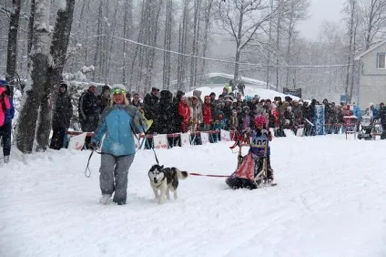 Відбувся чемпіонатУкаіни з перегонів на собачих упряжках - зооінформ-сіті