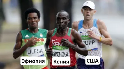 стаєрський біг