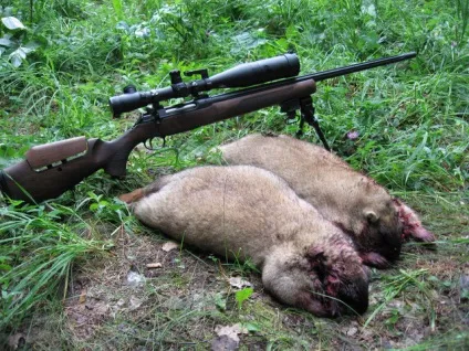 Способи і знаряддя полювання на бабака (полювання) Способи і знаряддя полювання на бабака