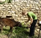 Будівництво з грунту - союз будівельників 21 століття