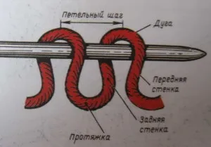 будова петлі