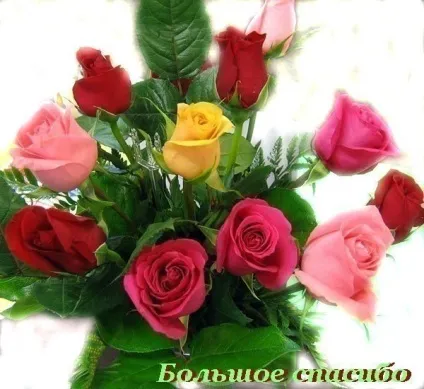 Вірші, проза, вірші про кохання і багато іншого на літпорталі хата-читальня (любові) Вірші, проза, вірші про кохання і багато іншого на літпорталі хата-читальня