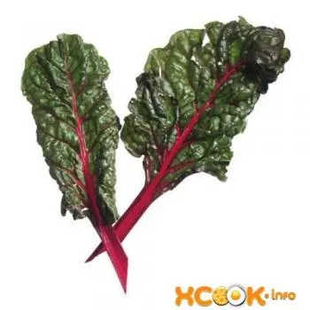 Бурячиння - властивості, калорійність; користь і шкода; рецепти страв (користь) Бурячиння - властивості, калорійність; користь і шкода; рецепти страв