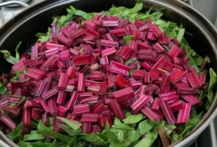 Бурячиння - користь і шкода продукту (користь) Бурячиння - користь і шкода продукту