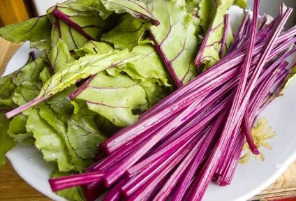 Бурячиння - користь і шкода продукту (шкода) Бурячиння - користь і шкода продукту