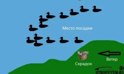 Схема розстановки качиних опудал, мисливець і рибалка (схема) Схема розстановки качиних опудал, мисливець і рибалка