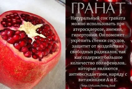 Властивості граната, як часто його можна їсти (його застосування в медицині і косметології) Властивості граната, як часто його можна їсти
