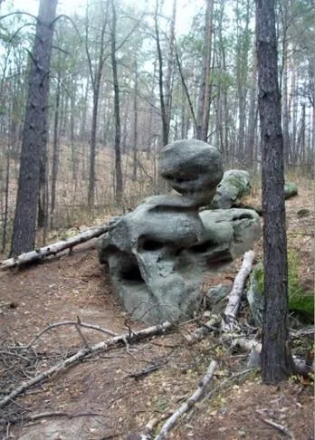 Ракшина - олег - александрович, Ростелеком (олег) Ракшина - олег - александрович, Ростелеком
