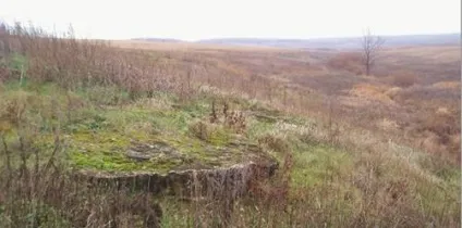 Ракшина - олег - александрович, Ростелеком (олег) Ракшина - олег - александрович, Ростелеком